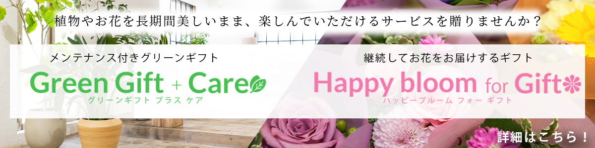 Green Gift＋Care,Happy bloom for Gift
